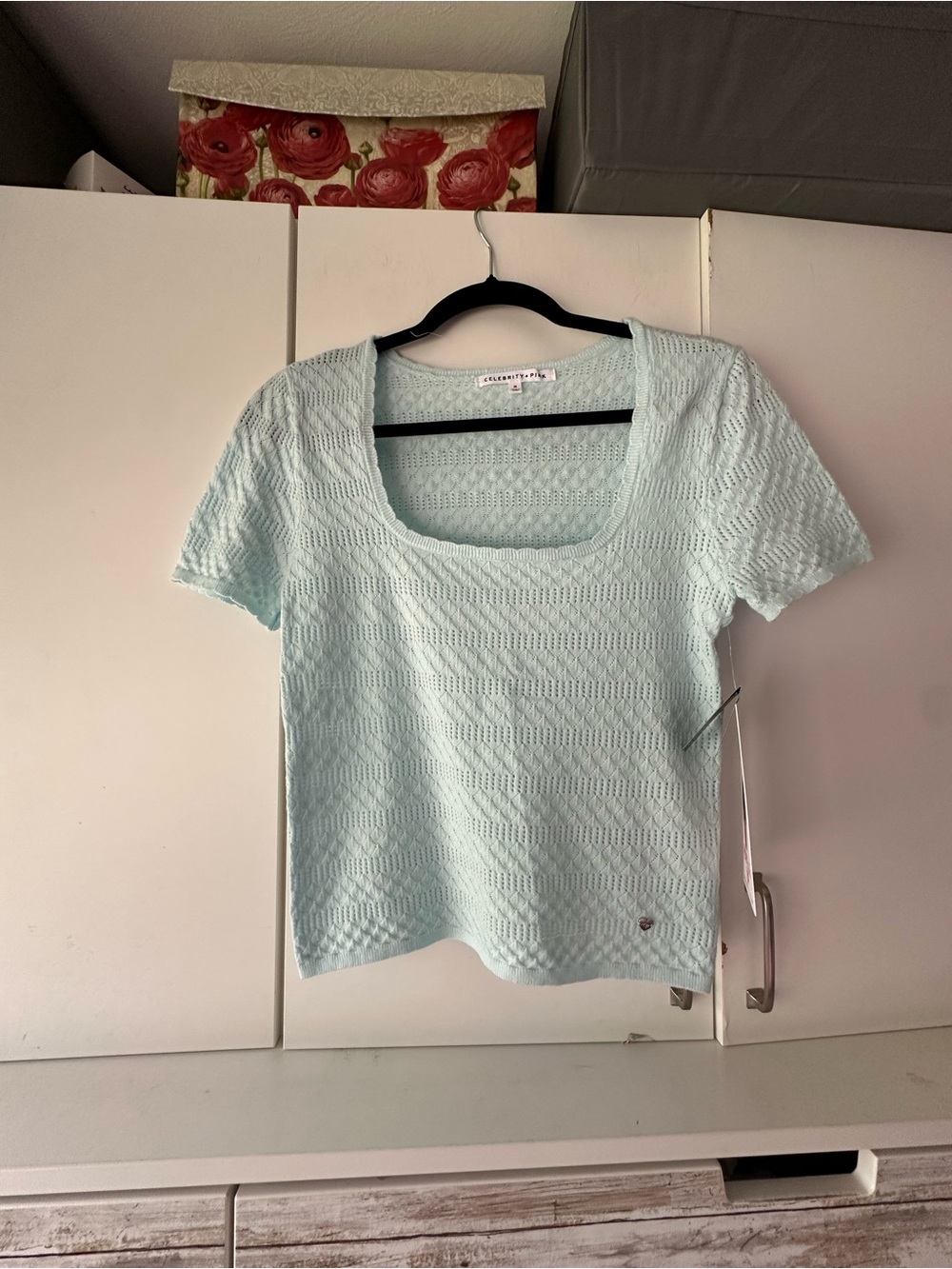 🩵 NWT Celebrity Pink Pointelle Knit Top M Pale Blue Short Sleeve Sweater